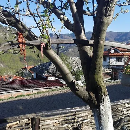 Pensjonat Semana
