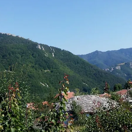 семана