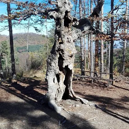 семана Къща за гости